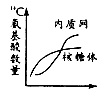 从某腺体的细胞中提取一些细胞器,放入含有14C氨基酸的培养液中,培养液中含有这些细胞器完成功能所需要的物质和条件,连续取样测定标记的氨基酸在这些细胞 从某腺体的细胞中提取一些细胞器,放入含有14C氨基酸的培养液中,培养液中含有这些细胞器完成功能所需要的物质和条件,连续取样测定标记的氨基酸在这些细胞