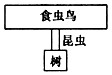 一片树林中,树、昆虫和食虫鸟类的个体数比例关系如图所示。下列选项中能正确表示树、昆虫和食虫鸟之间能量流动关系的是(选项方框面积表示能量大小) 一片树林中,树、昆虫和食虫鸟类的个体数比例关系如图所示。下列选项中能正确表示树、昆虫和食虫鸟之间能量流动关系的是(选项方框面积表示能量大小)