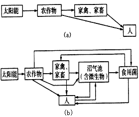 下图是两个农业生态系统的结构模式图。图a表示农作物为人类提供的食物、为家禽和家畜提供的饲料,这些都与图b相同。(1)请根据图a、 下图是两个农业生态系统的结构模式图。图a表示农作物为人类提供的食物、为家禽和家畜提供的饲料,这些都与图b相同。(1)请根据图a、