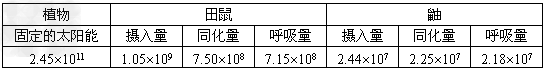 某弃耕地的主要食物链由植物→田鼠→鼬构成。生态学家对此食物链能量流动进行了研究,结果如下表,单位是J/(hm2·a)。(1)能量 某弃耕地的主要食物链由植物→田鼠→鼬构成。生态学家对此食物链能量流动进行了研究,结果如下表,单位是J/(hm2·a)。(1)能量