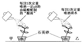 环境污染对植物的生长发育有不同程度的影响。在一定程度上,植物在污染环境中也有继续保持正常生命活动的特性,这种特性称为抗性。研究植物的抗性对筛选具有净 环境污染对植物的生长发育有不同程度的影响。在一定程度上,植物在污染环境中也有继续保持正常生命活动的特性,这种特性称为抗性。研究植物的抗性对筛选具有净