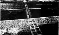 以下两图是欧洲某一城市的街景。图一摄于1961年8月,图二摄于1989年11月之后,它们分别反映的是 以下两图是欧洲某一城市的街景。图一摄于1961年8月,图二摄于1989年11月之后,它们分别反映的是