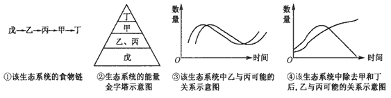 下表是一个相对封闭的生态系统中五个种群(存在着营养关系)的能量调查:图①~④是根据该表数据作出的一些分析,其中与表中数据不相符合的是 下表是一个相对封闭的生态系统中五个种群(存在着营养关系)的能量调查:图①~④是根据该表数据作出的一些分析,其中与表中数据不相符合的是