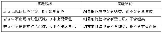 植物细胞壁的主要成分是纤维素和果胶。细菌细胞壁的主要成分是什么?有人认为细菌细胞壁中含有糖类和蛋白质。为探究其化学成分,某课题小组设计了如下实验(已 植物细胞壁的主要成分是纤维素和果胶。细菌细胞壁的主要成分是什么?有人认为细菌细胞壁中含有糖类和蛋白质。为探究其化学成分,某课题小组设计了如下实验(已