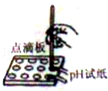 下列化学实验操作中正确的是A.点燃酒精灯B.滴加液体C.测溶液的pHD.稀释浓硫酸 下列化学实验操作中正确的是A.点燃酒精灯B.滴加液体C.测溶液的pHD.稀释浓硫酸