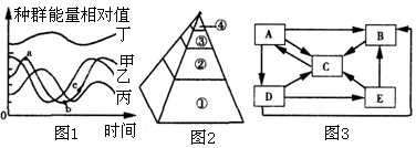 下图是某一生态系统中部分生物的食物关系及碳循环示意图。请据图回答问题:(1)图2能量金字塔中各营养级对应于图1的名称:①_________;③_ 下图是某一生态系统中部分生物的食物关系及碳循环示意图。请据图回答问题:(1)图2能量金字塔中各营养级对应于图1的名称:①_________;③_