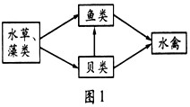 图1是某池塘生态系统中部分生物之间的关系图,请据图回答问题。(1)图1中的种间关系有________。(2)图1中没有表示出的生 图1是某池塘生态系统中部分生物之间的关系图,请据图回答问题。(1)图1中的种间关系有________。(2)图1中没有表示出的生