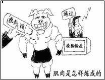 漫画表明要杜绝“健美猪”在市场上“展示肌肉”,各级政府必须履行相应职责。因为各级政府①是人民利益的执行者和捍卫者②是最高国家权力机关的执行机关③具有经济管理和社 漫画表明要杜绝“健美猪”在市场上“展示肌肉”,各级政府必须履行相应职责。因为各级政府①是人民利益的执行者和捍卫者②是最高国家权力机关的执行机关③具有经济管理和社
