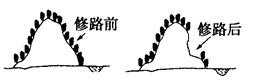 图是修建山区公路前后的两幅剖面示意图,读图回答题。小题1:修建公路后,小河沟含沙量的变化及其原因正确的是①含沙量减少;②含沙量增加;③植被破坏,易水土流失;④路 图是修建山区公路前后的两幅剖面示意图,读图回答题。小题1:修建公路后,小河沟含沙量的变化及其原因正确的是①含沙量减少;②含沙量增加;③植被破坏,易水土流失;④路