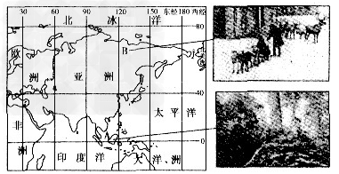 亚洲是我们生活的大洲,它地域辽阔,文化多样。读下图,回答下列问题。亚洲东临世界上最大的大洋_______洋,西南以_______运河为界与 亚洲是我们生活的大洲,它地域辽阔,文化多样。读下图,回答下列问题。亚洲东临世界上最大的大洋_______洋,西南以_______运河为界与