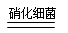 尽管氮元素在地壳中的丰度较低(主要以硝酸盐的形式存在),在所有元素中仅排31位,但是大气中有丰富的氮气,这为氨和硝酸的广泛应用提供了可能。氮气的电子式为, 尽管氮元素在地壳中的丰度较低(主要以硝酸盐的形式存在),在所有元素中仅排31位,但是大气中有丰富的氮气,这为氨和硝酸的广泛应用提供了可能。氮气的电子式为,
