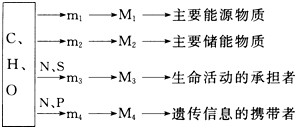 如图是生物体内几种有机物组成及它们各自功能的关系图,m1、m2、m3、m4分别是大分子物质M1、M2、M3、M4的组成单位。下列说法正确的是[ 如图是生物体内几种有机物组成及它们各自功能的关系图,m1、m2、m3、m4分别是大分子物质M1、M2、M3、M4的组成单位。下列说法正确的是[