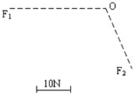 有F1=40牛及F2=20牛两个力,作用于同一点O,其方向如图虚线所示,用一定长线段表示10牛,试用作图法作出它们的合力. 魔方格