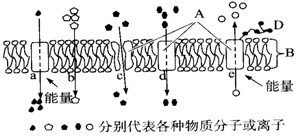 下图为物质出入细胞膜的示意图,请回答(在括号内填写相应的字母):(1)细胞膜的主要成分是______、________,在膜的_____(内/外 下图为物质出入细胞膜的示意图,请回答(在括号内填写相应的字母):(1)细胞膜的主要成分是______、________,在膜的_____(内/外