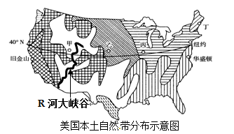 读下列材料,回答以下问题。(12分)材料一:美国本土自然带示意图材料二:R河塑造了世界著名的大峡谷,峡谷平均深度达1 600 m。R河中上游地区年降水量约为25 读下列材料,回答以下问题。(12分)材料一:美国本土自然带示意图材料二:R河塑造了世界著名的大峡谷,峡谷平均深度达1 600 m。R河中上游地区年降水量约为25