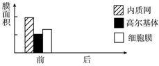 如下图所示为某细胞在进行分泌蛋白的合成和分泌前的几种生物膜的面积。(1)请在图中画出细胞在进行分泌蛋白的合成和分泌后这几种生物膜 如下图所示为某细胞在进行分泌蛋白的合成和分泌前的几种生物膜的面积。(1)请在图中画出细胞在进行分泌蛋白的合成和分泌后这几种生物膜