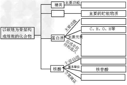 完成下面的概念图: 完成下面的概念图: