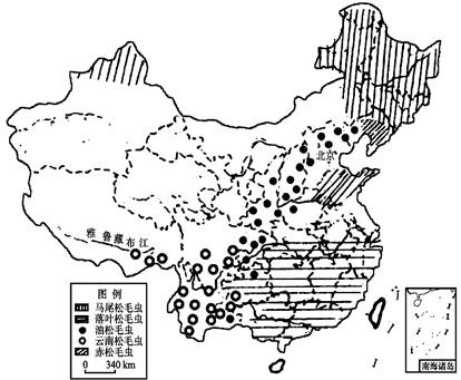 读“中国松毛虫危害区图”,完成下列问题。 危害我国森林的松毛虫主要有__________、___________、__________、_________ 读“中国松毛虫危害区图”,完成下列问题。 危害我国森林的松毛虫主要有__________、___________、__________、_________