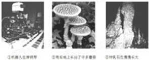 分析下面图片:指出图片中的物体是生物还是非生物.①______②______③______简述生物的主要特征是什么?______.