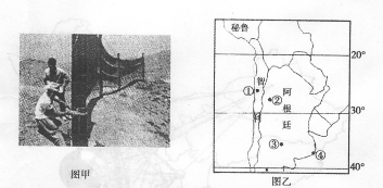 图甲中为一张长12米、宽4米的大网,网的下方有水槽可以把网上流下的水引向一个蓄水池。图乙为南美洲部分国家图,读图回答下题。小题1:图甲中人们利用此设施收集的水资 图甲中为一张长12米、宽4米的大网,网的下方有水槽可以把网上流下的水引向一个蓄水池。图乙为南美洲部分国家图,读图回答下题。小题1:图甲中人们利用此设施收集的水资