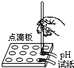 下列实验操作正确的是加热液体A测定溶液pH B稀释浓硫酸 C过滤 D 下列实验操作正确的是加热液体A测定溶液pH B稀释浓硫酸 C过滤 D
