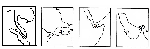 小题1:下列海峡轮名称正确的是A ①曼德海峡②土耳其海峡 ③马六甲海峡④霍尔木兹海峡B ①马六甲海峡 ②曼德海峡③霍尔木兹海峡 小题1:下列海峡轮名称正确的是A ①曼德海峡②土耳其海峡 ③马六甲海峡④霍尔木兹海峡B ①马六甲海峡 ②曼德海峡③霍尔木兹海峡