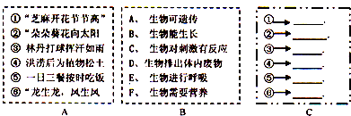 请将图框A中常见的生命现象与图框B中其对应的生物特征填写在图框C中: