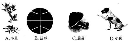 下列不能进行新陈代谢的是( ) 下列不能进行新陈代谢的是( )
