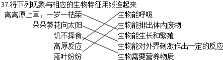 将下列现象与相应的生物特征用线连起来 离离原上草,一岁一枯荣生物能呼吸朵朵葵花向太阳生物能排出体内废物饥不择食生物能 魔方格