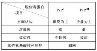 朊病毒蛋白(PrP)有两种,一种是PrPc,一种是PrPsc,它们的比较如下表。因此可以推知控制合成这两种蛋白质的核苷酸排列顺序以及它们表现出不同性 朊病毒蛋白(PrP)有两种,一种是PrPc,一种是PrPsc,它们的比较如下表。因此可以推知控制合成这两种蛋白质的核苷酸排列顺序以及它们表现出不同性