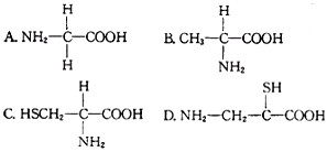 科学家从牛的胰脏中分离出一条由76个氨基酸组成的多肽链(Ub)。研究发现Ub在细胞自我监测和去除某些“不适用蛋白质”(即靶蛋白)的机制中扮演着重要角色。如 科学家从牛的胰脏中分离出一条由76个氨基酸组成的多肽链(Ub)。研究发现Ub在细胞自我监测和去除某些“不适用蛋白质”(即靶蛋白)的机制中扮演着重要角色。如