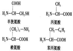 经分析,某条多肽链中有O原子p个,N原子q个。将它彻底水解后,只得到下列四种氨基酸:分析推算可知,1分子该多肽水解得到的赖氨酸个 经分析,某条多肽链中有O原子p个,N原子q个。将它彻底水解后,只得到下列四种氨基酸:分析推算可知,1分子该多肽水解得到的赖氨酸个