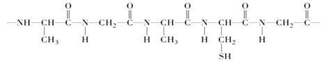 科学家从某人的食糜中发现有如下图所示结构的化合物,那么:(1)这种化合物叫________,构成它的基本单位是________。 科学家从某人的食糜中发现有如下图所示结构的化合物,那么:(1)这种化合物叫________,构成它的基本单位是________。