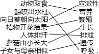 动物取食应激性鲸喷出水柱营养向日葵朝向太阳繁殖植物开花结果生长人体排汗排泄蘑菇由小长大遗传子女与母亲相似呼吸. 魔方格