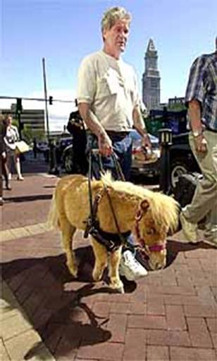 Many blind people use guide dogs to help them get safely from place to place and Many blind people use guide dogs to help them get safely from place to place and