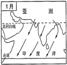 在图中,南亚地区的主要风向是A.东南风B.西南风C.东北风D.西北风 魔方格