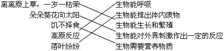 将下列现象与相应的生物特征用线连起来 离离原上草,一岁一枯荣 生物能呼吸 朵朵葵花向太阳生物能排出体内废物 将下列现象与相应的生物特征用线连起来 离离原上草,一岁一枯荣 生物能呼吸 朵朵葵花向太阳生物能排出体内废物