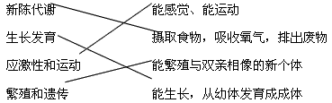 把生物的基本特征和它相应的表现用线连起来。新陈代谢 能感觉,能运动 生长发育 摄取食物,吸收氧气,排出废物 把生物的基本特征和它相应的表现用线连起来。新陈代谢 能感觉,能运动 生长发育 摄取食物,吸收氧气,排出废物