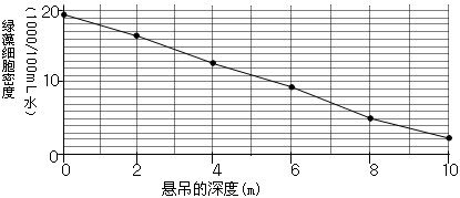 某科研人员将6个培养瓶(培养液中含某种单细胞绿藻)分别悬吊于湖中同一地点的6个不同深度:0m(水面)、2m、4m、6m、8m、10m。培养瓶中绿藻细 某科研人员将6个培养瓶(培养液中含某种单细胞绿藻)分别悬吊于湖中同一地点的6个不同深度:0m(水面)、2m、4m、6m、8m、10m。培养瓶中绿藻细