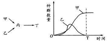 某生态系统中只含有甲、乙、丙、丁四个种群,图一为某段时间内该系统中的食物关系,图二为甲、乙两种群数量变化的曲线图。下列判断不正确的是 某生态系统中只含有甲、乙、丙、丁四个种群,图一为某段时间内该系统中的食物关系,图二为甲、乙两种群数量变化的曲线图。下列判断不正确的是