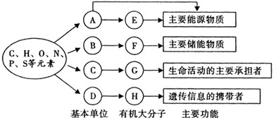 以下是生物体内四种有机物的组成与功能关系图,请据图回答:(1)番茄细胞中,物质D是__________;SARS病毒体内物质H彻底水解后,产生的 以下是生物体内四种有机物的组成与功能关系图,请据图回答:(1)番茄细胞中,物质D是__________;SARS病毒体内物质H彻底水解后,产生的