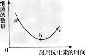 人体感染细菌患病后,细菌会对机体产生一定的影响。如果服用抗生素药物来治疗,短时间内有一定的疗效。请根据图示,判断下列说法正确的是 人体感染细菌患病后,细菌会对机体产生一定的影响。如果服用抗生素药物来治疗,短时间内有一定的疗效。请根据图示,判断下列说法正确的是