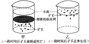 “孑孓”是蚊子的幼虫,适于生活在水中。几个同学对“孑孓的生活是否需要空气”的问题争论不休:有的认为需要空气,有的认为不需要空气。请你根据下图设计一个实验探 “孑孓”是蚊子的幼虫,适于生活在水中。几个同学对“孑孓的生活是否需要空气”的问题争论不休:有的认为需要空气,有的认为不需要空气。请你根据下图设计一个实验探