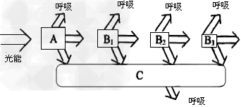 如图是生态系统中能量流动的模式图,请据图回答:生态系统中能量的源头是___________。 图中A是指____ 如图是生态系统中能量流动的模式图,请据图回答:生态系统中能量的源头是___________。 图中A是指____