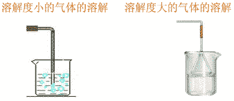 小华在实验室帮老师整理药品时,发现一瓶失去标签的白色固体,老师告知是NaOH、CuSO4、NaCl、CaCO3中的一种.小华思考片刻后,认为取少量白色固体放入水 小华在实验室帮老师整理药品时,发现一瓶失去标签的白色固体,老师告知是NaOH、CuSO4、NaCl、CaCO3中的一种.小华思考片刻后,认为取少量白色固体放入水