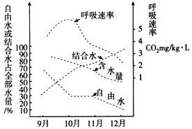 下图所示是某植物在不同时期的含水量、自由水与结合水含量和呼吸速率,请据图回答:(1)据图分析,温度与植物体内水分的关系如何?(2 下图所示是某植物在不同时期的含水量、自由水与结合水含量和呼吸速率,请据图回答:(1)据图分析,温度与植物体内水分的关系如何?(2