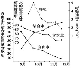 植物在冬季来临过程中,随着气温的逐渐降低,体内发生了一系列适应低温的生理生化变化,抗寒力逐渐增强。下图为冬小麦在不同时期含水量和呼吸速率变化关系图。 植物在冬季来临过程中,随着气温的逐渐降低,体内发生了一系列适应低温的生理生化变化,抗寒力逐渐增强。下图为冬小麦在不同时期含水量和呼吸速率变化关系图。