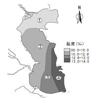 里海是世界面积最大的咸水湖,南北长约1200千米,里海最南部的纬度为37°N。读冬季里海盐度分布图,回答1~2题。1.冬季里海的盐度分布大致由东南向西北递减,对 里海是世界面积最大的咸水湖,南北长约1200千米,里海最南部的纬度为37°N。读冬季里海盐度分布图,回答1~2题。1.冬季里海的盐度分布大致由东南向西北递减,对