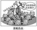 漫画《菜贱伤农》蕴含的经济学道理有①市场需求直接决定商品的价格②政府应履行经济建设职能调动农民积极性③市场调节具有盲目性,应引导农民掌握市场信息④价格变动影 漫画《菜贱伤农》蕴含的经济学道理有①市场需求直接决定商品的价格②政府应履行经济建设职能调动农民积极性③市场调节具有盲目性,应引导农民掌握市场信息④价格变动影