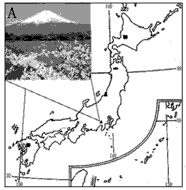 读日本图,回答下列问题。景观图A所示的山峰是_________ ,是日本著名的旅游胜地。 日本在经济发展过程 读日本图,回答下列问题。景观图A所示的山峰是_________ ,是日本著名的旅游胜地。 日本在经济发展过程